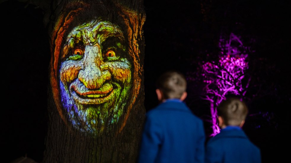 Green Man light projection from Enlightened, Castle Park, Colchester. Credit: Enlightened Moments